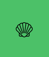 coquillage